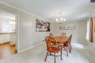 445 Lakemont Dr, Chapin, SC 29036 - Photo 18
