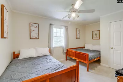 445 Lakemont Drive, Chapin, SC 29036 - Photo 34