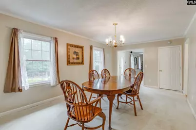 445 Lakemont Drive, Chapin, SC 29036 - Photo 20