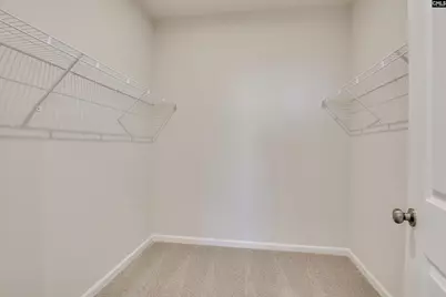 705 Feldpsar Court, Chapin, SC 29036 - Photo 18