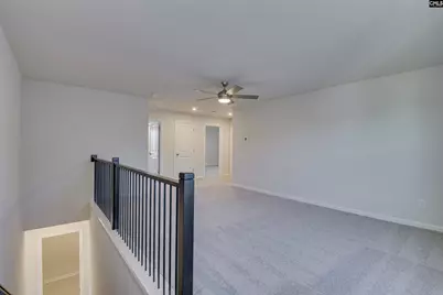705 Feldpsar Court, Chapin, SC 29036 - Photo 24
