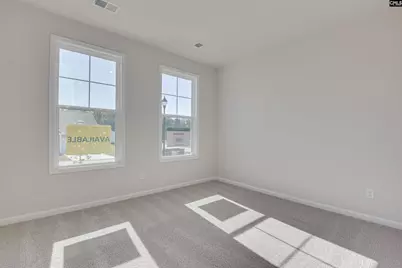 705 Feldpsar Court, Chapin, SC 29036 - Photo 20