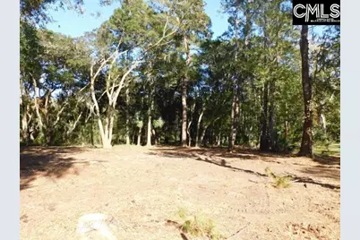 8139 Murphy Creek Court, Edisto Island, SC 29438 - Photo 1