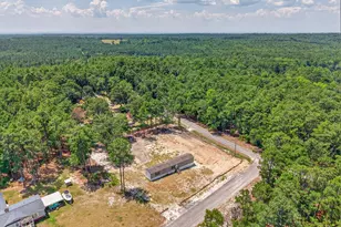 96 Toms Creek Ct, Hopkins, SC 29061 - Photo 32