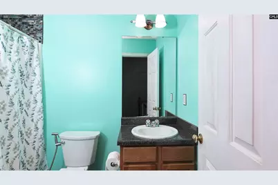 523 Whitewater Drive, Irmo, SC 29063 - Photo 24