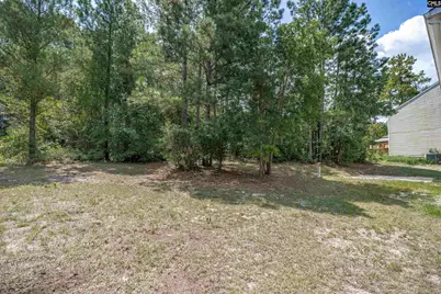 205 Drayden Court, Lexington, SC 29073 - Photo 38