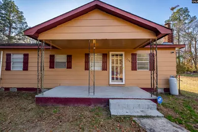 248 Henry Road, Neeses, SC 29107 - Photo 2