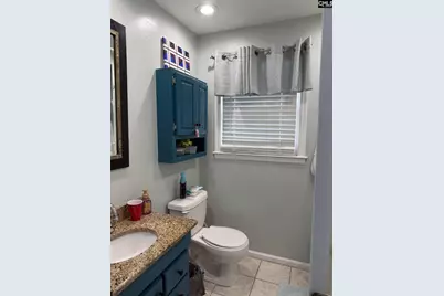 156 Lisa Drive, Lexington, SC 29073 - Photo 22