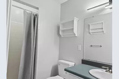42 Halton Court, Columbia, SC 29223 - Photo 2