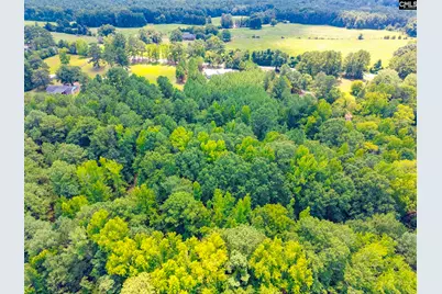 1242 Old Douglas Road, Winnsboro, SC 29180 - Photo 32