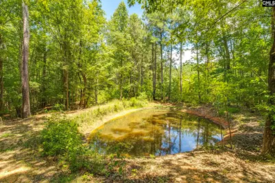 1242 Old Douglas Road, Winnsboro, SC 29180 - Photo 24