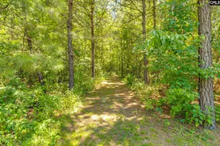 1242 Old Douglas Rd, Winnsboro, SC 29180 - Photo 24