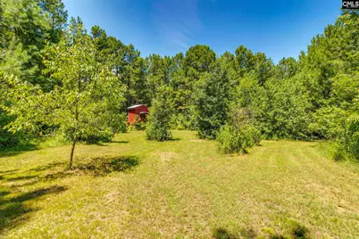 1242 Old Douglas Road, Winnsboro, SC 29180 - Photo 20