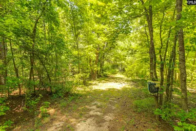 1242 Old Douglas Road, Winnsboro, SC 29180 - Photo 26