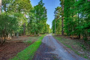 339 Clermont Lakes Dr, Lexington, SC 29073 - Photo 12