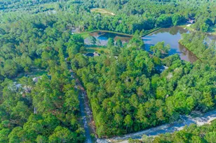 339 Clermont Lakes Dr, Lexington, SC 29073 - Photo 8