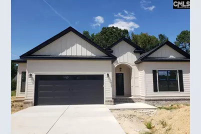 858 Elms Spinney Lane, Chapin, SC 29036 - Photo 1