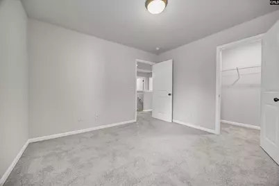 1171 Grey Pine Drive, Blythewood, SC 29016 - Photo 32