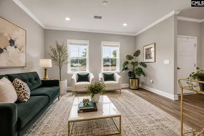 149 Monroe Preserve Drive, Chapin, SC 29036 - Photo 6