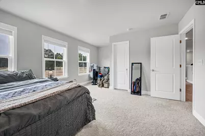 149 Monroe Preserve Drive, Chapin, SC 29036 - Photo 32