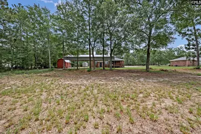 436 Long Branch Road, Gilbert, SC 29054 - Photo 8