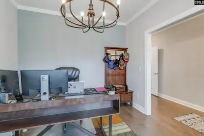 209 Sapphire Gem Lane, Elgin, SC 29045 - Photo 8