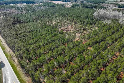 Lot #1 Fairview Road 008200-07-010, Batesburg, SC 29006 - Photo 26