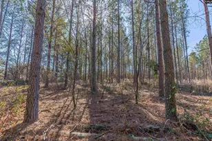 Lot 2 Fairview Road 008200-07-010, Batesburg, SC 29006 - Photo 4