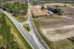 Lot 2 Fairview Road 008200-07-010, Batesburg, SC 29006 - Photo 10