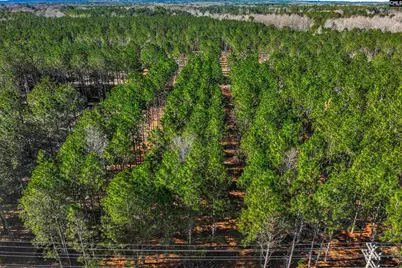 Lot 2 Fairview Road 008200-07-010 Lot #2, Batesburg, SC 29006 - Photo 30