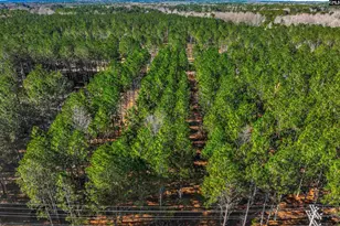 Lot 2 Fairview Road 008200-07-010, Batesburg, SC 29006 - Photo 30