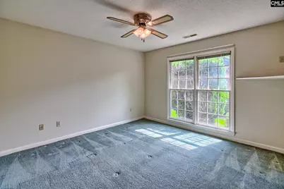 208 Valley Vine Court, Irmo, SC 29063 - Photo 36