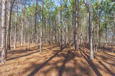 Lot 3 Fairview Road 008200-07-010 LOT #3, Batesburg, SC 29006 - Photo 4