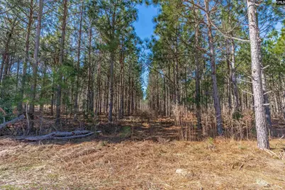 Lot #4 Fairview Road 008200-07-010, Batesburg, SC 29006 - Photo 2