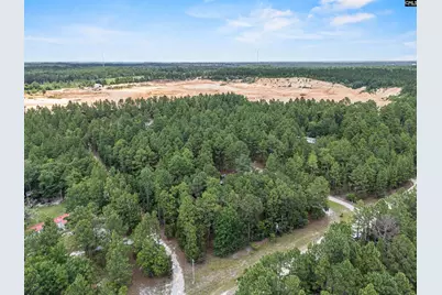219 Chandler Drive, Gilbert, SC 29054 - Photo 32