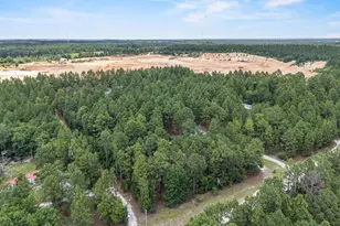 219 Chandler Dr, Gilbert, SC 29054 - Photo 32