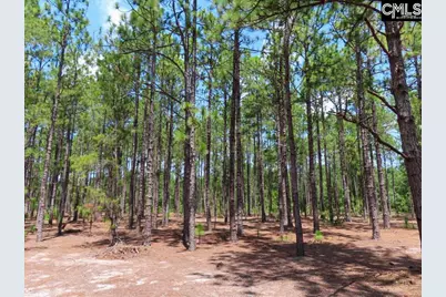 3915 Old Georgetown Road W, Westville, SC 29067 - Photo 36