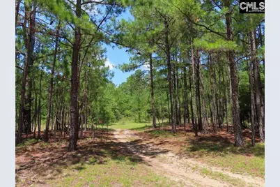 3915 Old Georgetown Road W, Westville, SC 29067 - Photo 54
