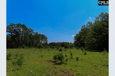 3915 Old Georgetown Road W, Westville, SC 29067 - Photo 4