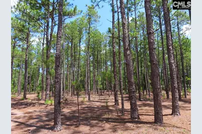 3915 Old Georgetown Road W, Westville, SC 29067 - Photo 32