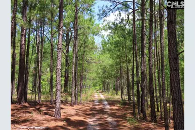 3915 Old Georgetown Road W, Westville, SC 29067 - Photo 2