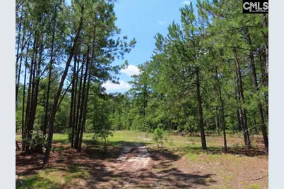 3915 Old Georgetown Road W, Westville, SC 29067 - Photo 58