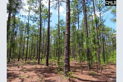 3915 Old Georgetown Road W, Westville, SC 29067 - Photo 44