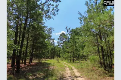 3915 Old Georgetown Road W, Westville, SC 29067 - Photo 60