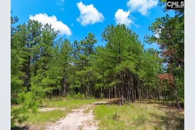 3915 Old Georgetown Road W, Westville, SC 29067 - Photo 46