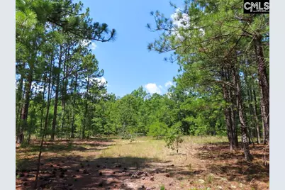 3915 Old Georgetown Road W, Westville, SC 29067 - Photo 50