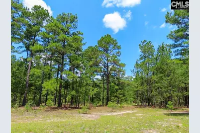 3915 Old Georgetown Road W, Westville, SC 29067 - Photo 34