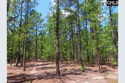 3915 Old Georgetown Road W, Westville, SC 29067 - Photo 28