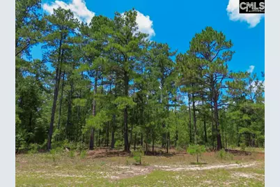 3915 Old Georgetown Road W, Westville, SC 29067 - Photo 38