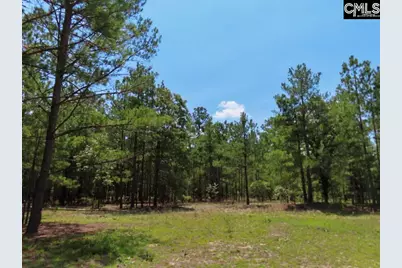 3915 Old Georgetown Road W, Westville, SC 29067 - Photo 26